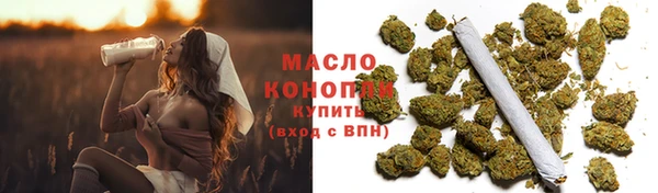 тгк Пересвет