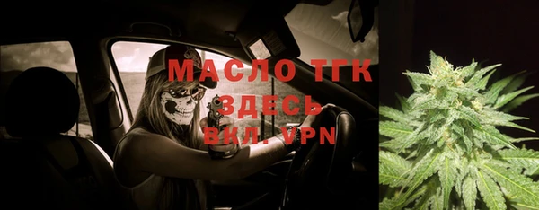 тгк Пересвет