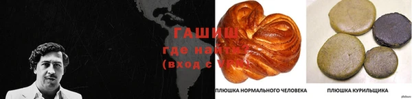 тгк Пересвет
