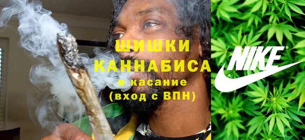 тгк Пересвет