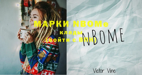 тгк Пересвет