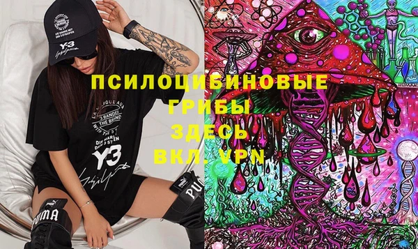 тгк Пересвет