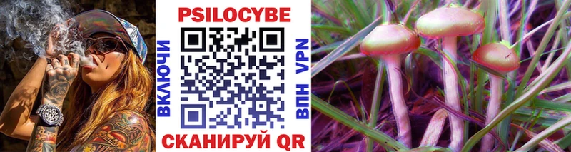 Псилоцибиновые грибы Psilocybe  мега ССЫЛКА  Шарыпово  даркнет сайт 